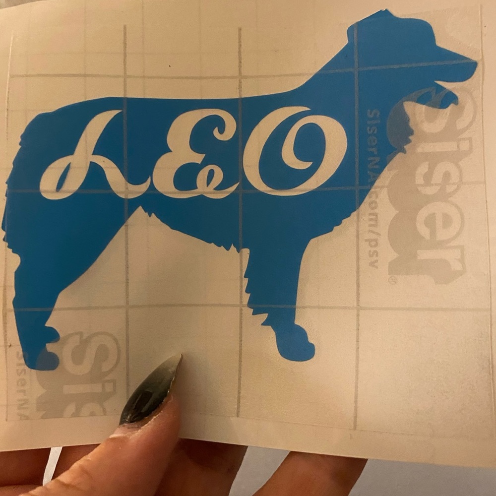 Custom decals and car freshies
